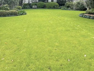 Lawn Aeration