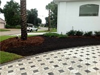Current Thrive Landscaping Projects
