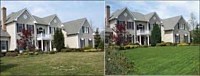 Before & After Landscaping Photos